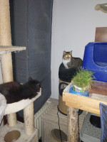 /album/257/whatsapp-image-2026-04-05-at-00-44-49-jpeg/